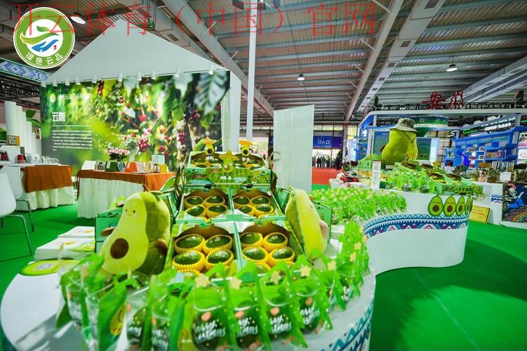 开云首页登录，畅享优质绿色访问体验