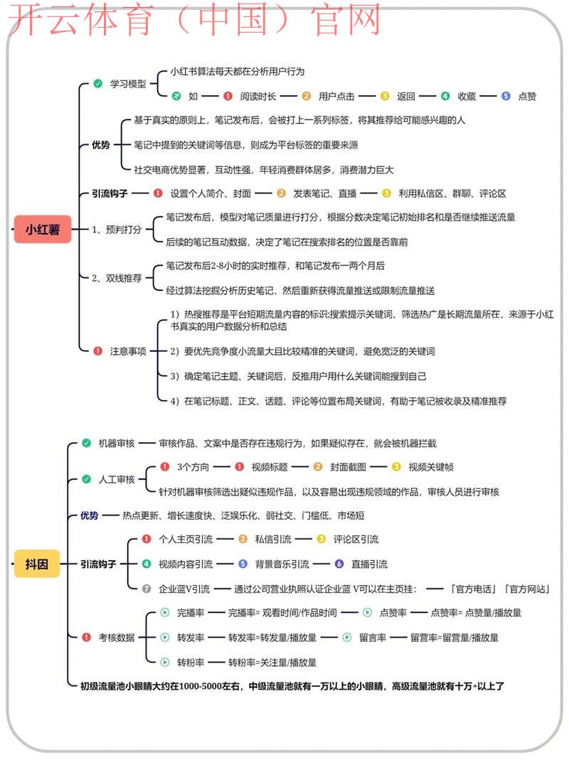 开云网页版官网，平台优势与劣势的全面分析